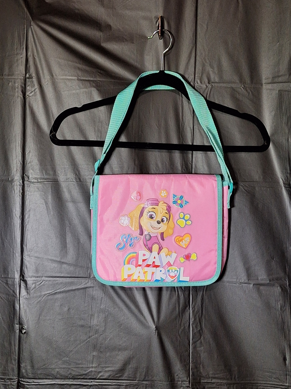 Paw Patrol Pink Shoulder Messenger with Mint Trim and Character Graphic